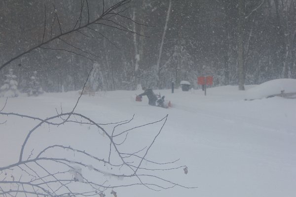 New Camera Dec2010 370